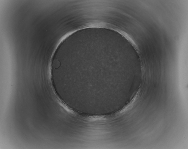 X0000113080846200908281221