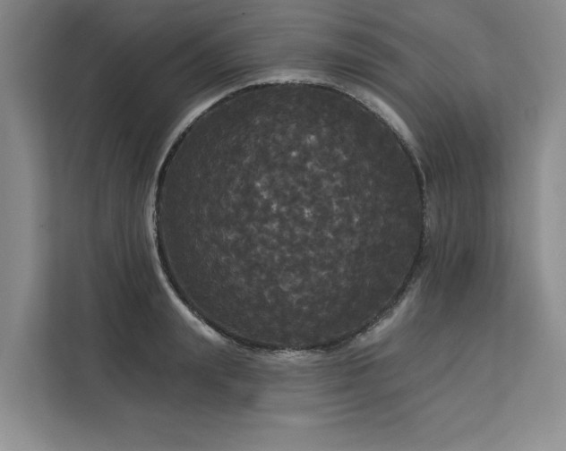 X0000113080847200908281221