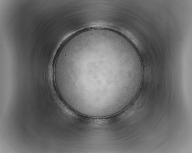 X0000113080848200908281221