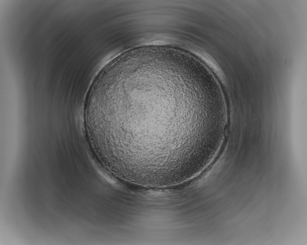 X0000113080850200908281222