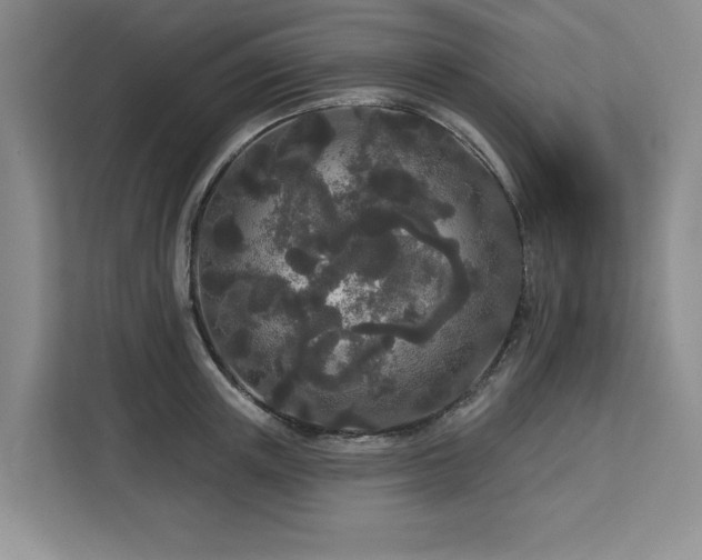 X0000113080851200908281222