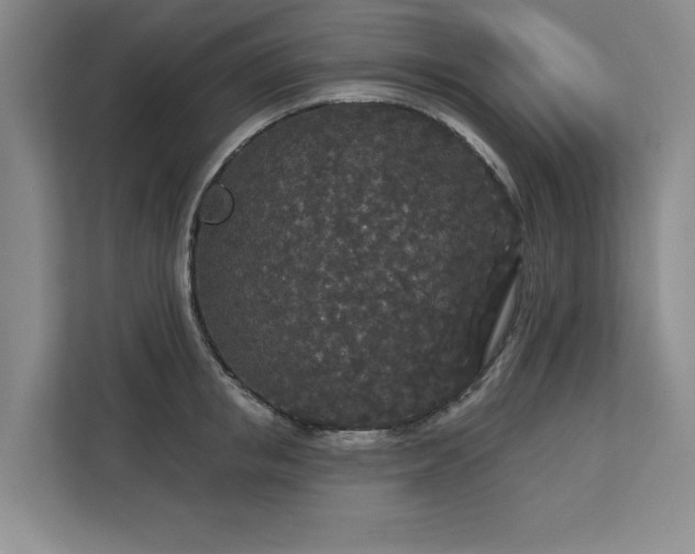 X0000113080853200908281222