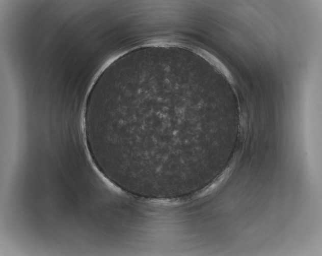 X0000113080855200908281222