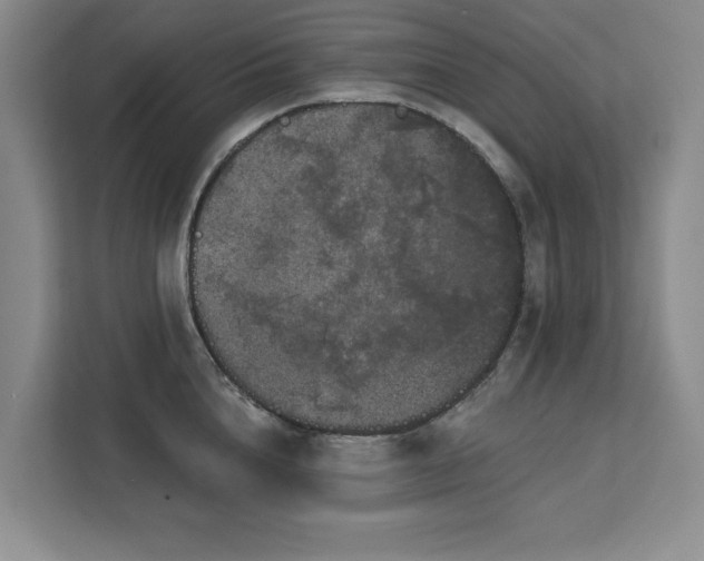 X0000113080856200908281222