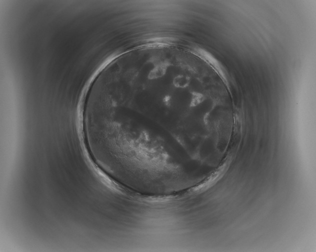 X0000113080859200908281222