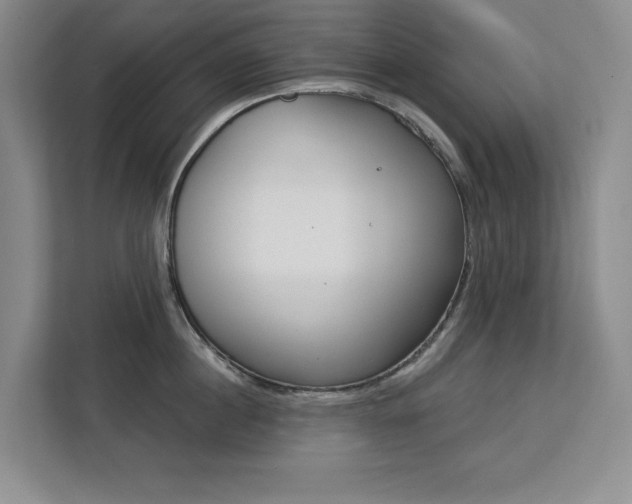 X0000113080860200908281222