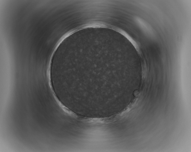 X0000113080861200908281222