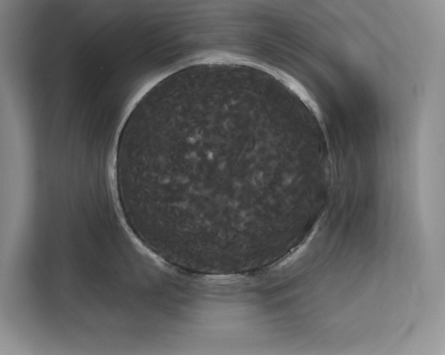 X0000113080863200908281222