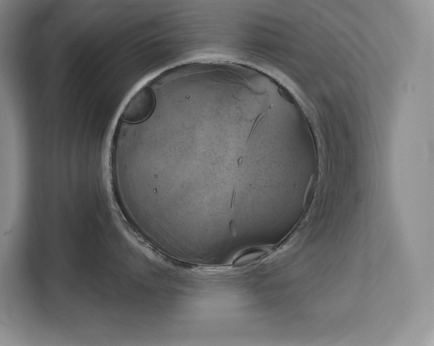 X0000113080864200908281222