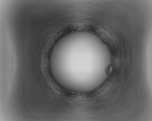 X0000113080865200908281221