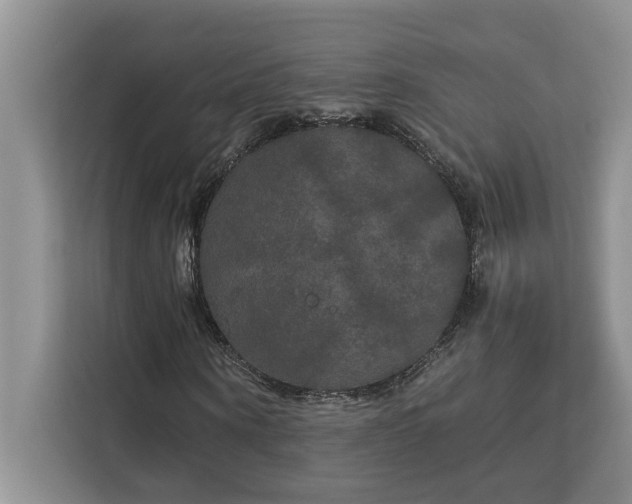 X0000113080866200908281221