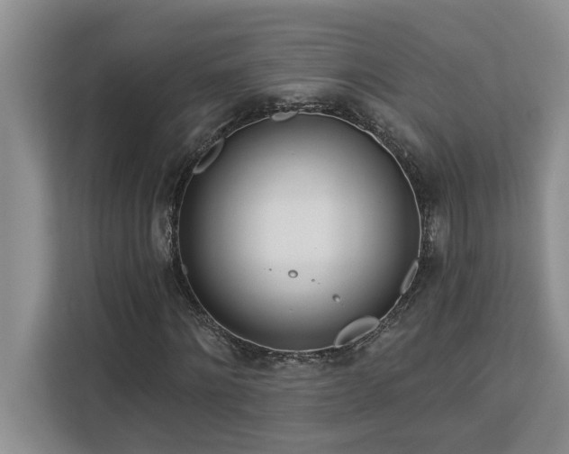 X0000113080868200908281221