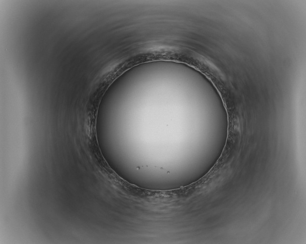 X0000113080869200908281221