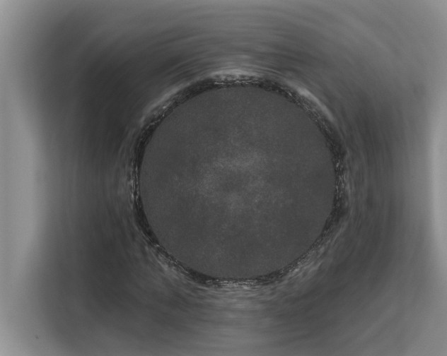 X0000113080870200908281221