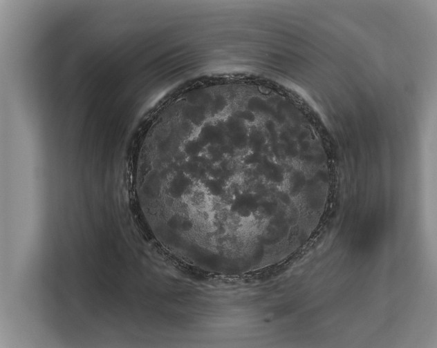 X0000113080871200908281221