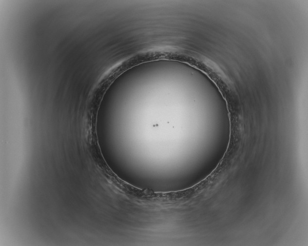 X0000113080872200908281221