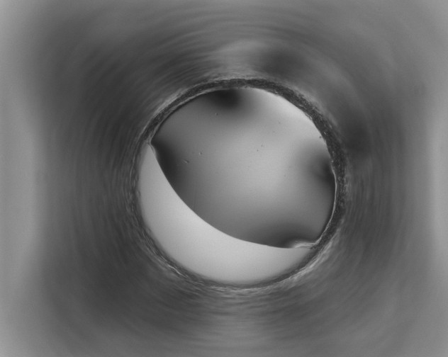 X0000113080873200908281221