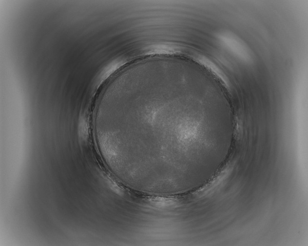 X0000113080874200908281221