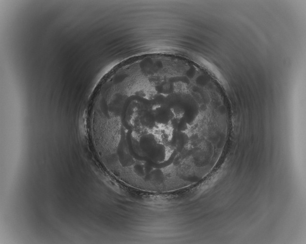 X0000113080875200908281221