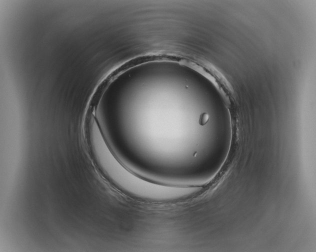 X0000113080876200908281221