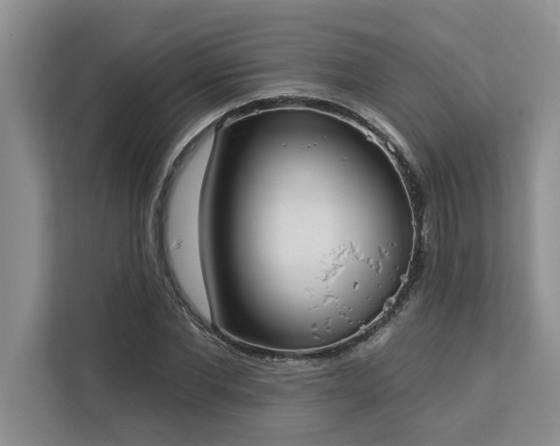 X0000113080877200908281221