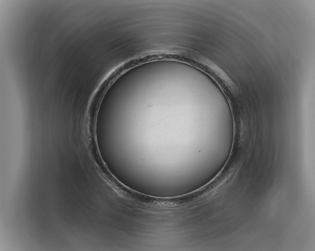 X0000113080878200908281221