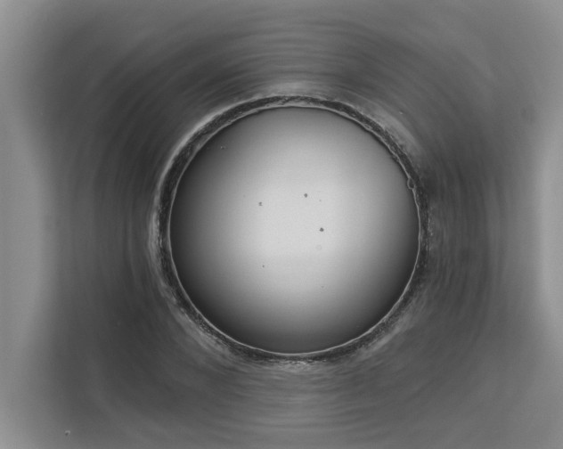 X0000113080880200908281221