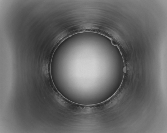 X0000113080881200908281221