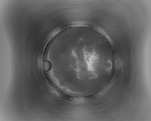 X0000113080882200908281221