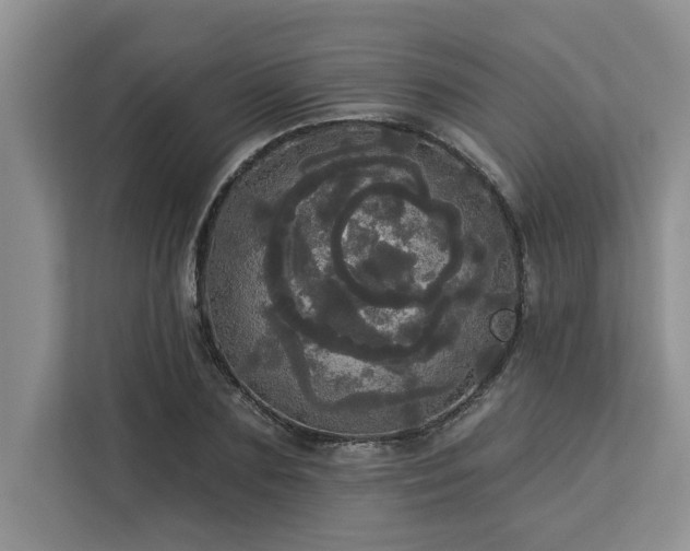 X0000113080883200908281221