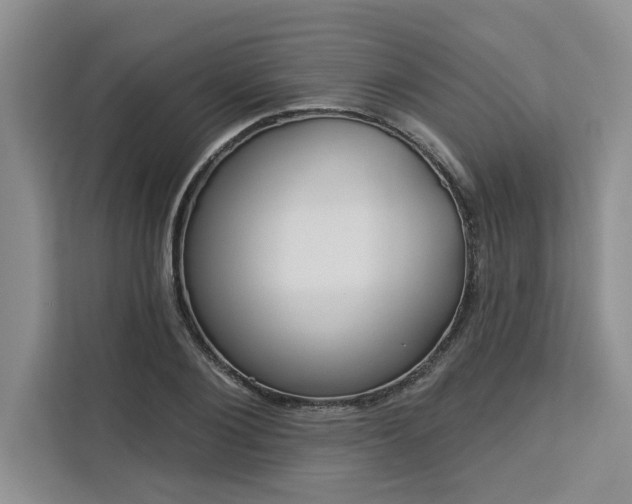 X0000113080884200908281221