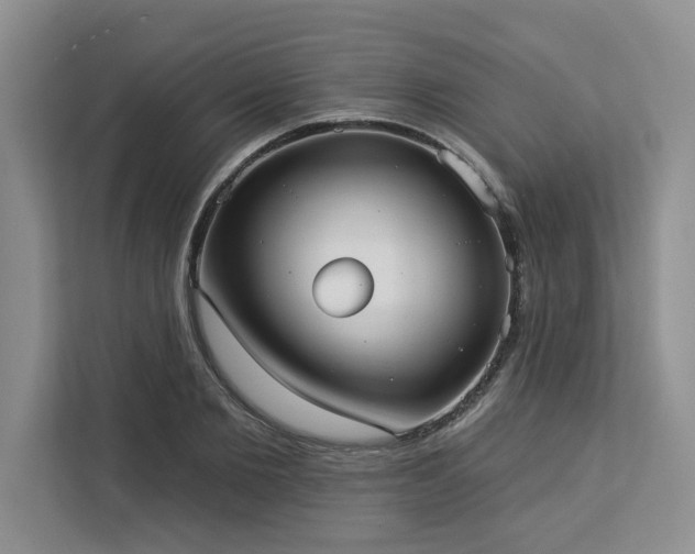 X0000113080885200908281221