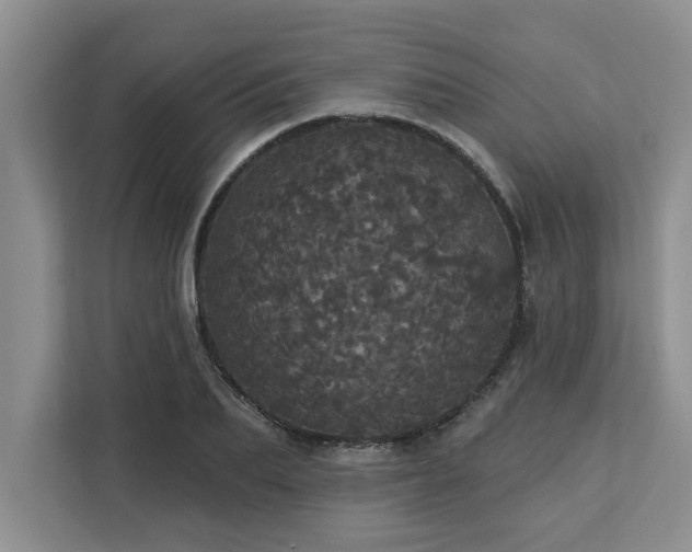 X0000113080887200908281221