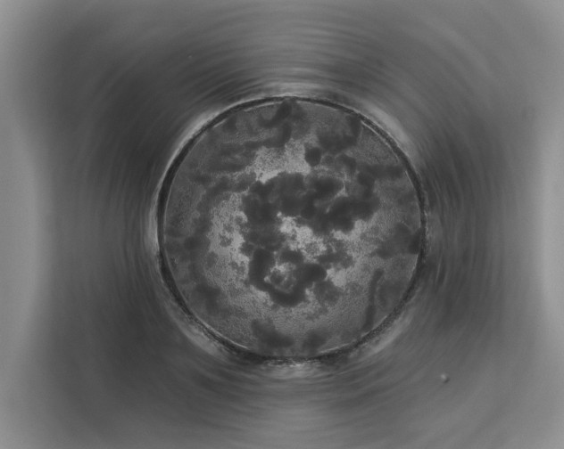 X0000113080891200908281221