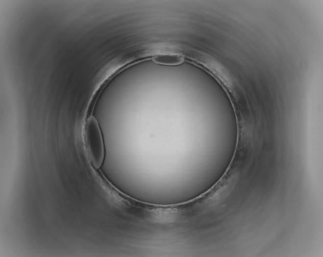 X0000113080893200908281221