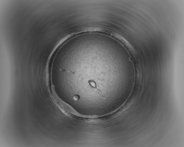 X0000113080894200908281221