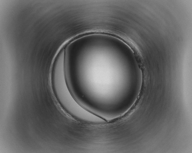 X0000113080896200908281221