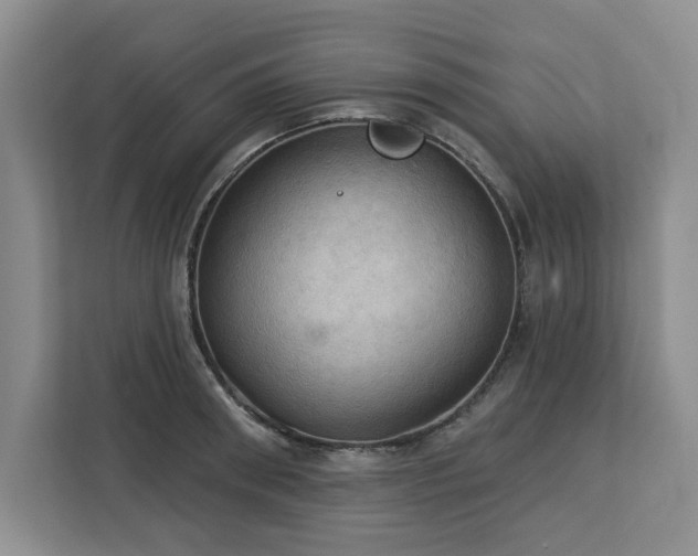 X0000113080898200908281221