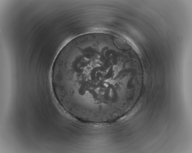 X0000113080899200908281221