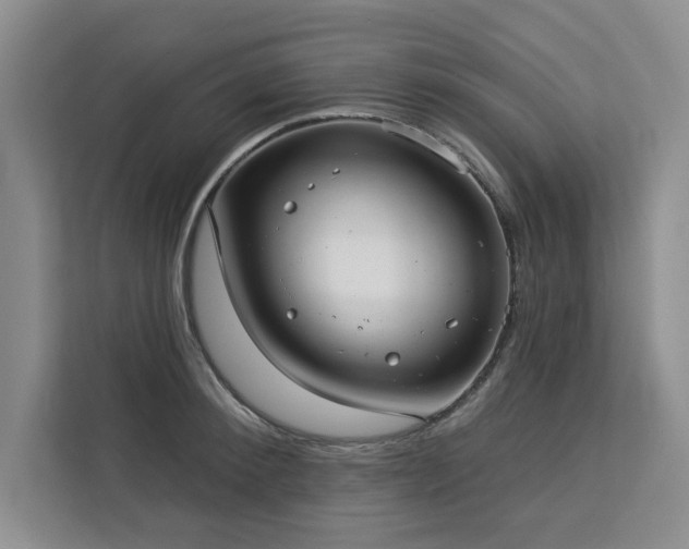 X0000113080900200908281221