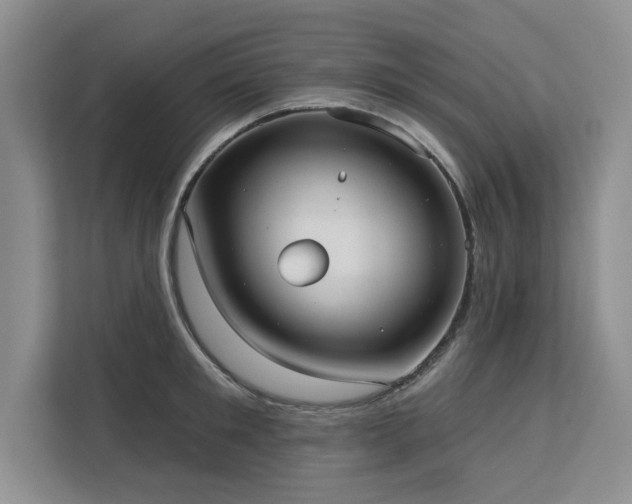 X0000113080901200908281221