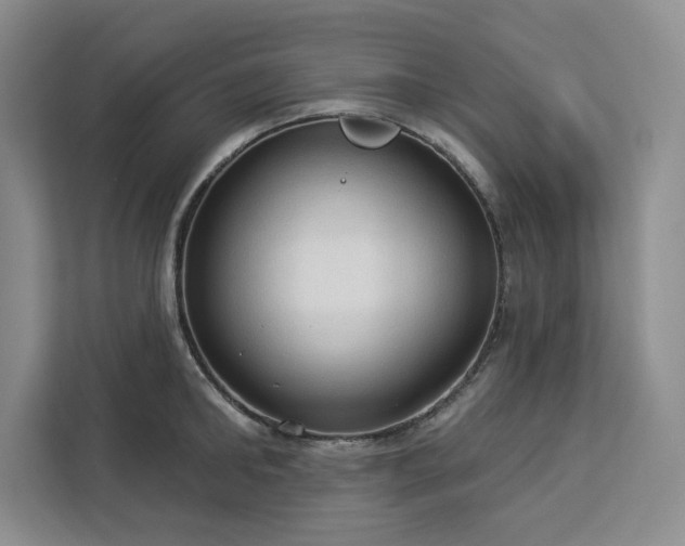 X0000113080902200908281221