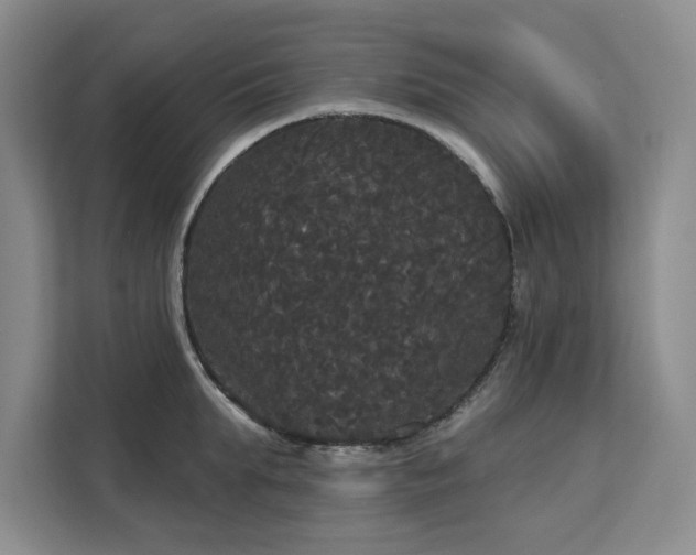 X0000113080903200908281221