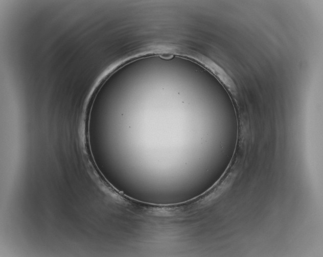 X0000113080904200908281221