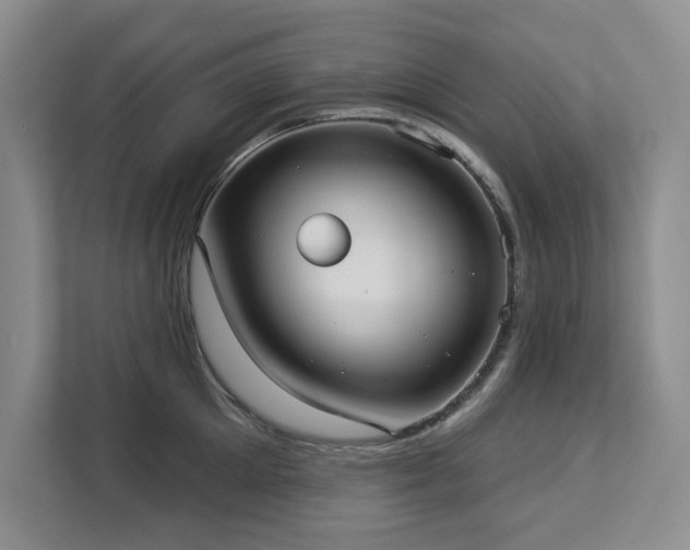 X0000113080905200908281221