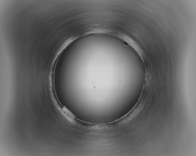 X0000113080906200908281221