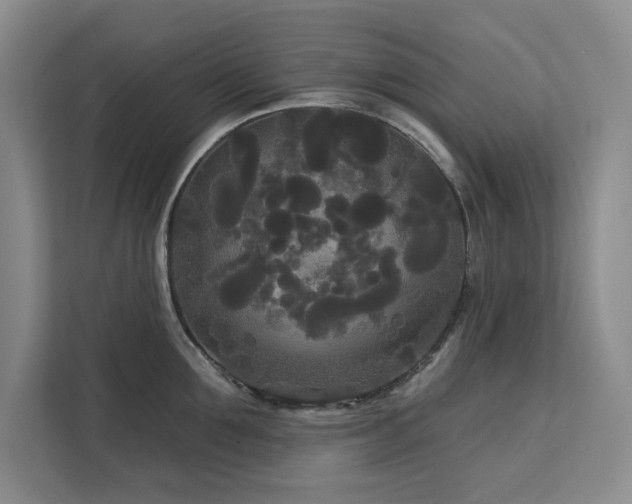 X0000113080907200908281221