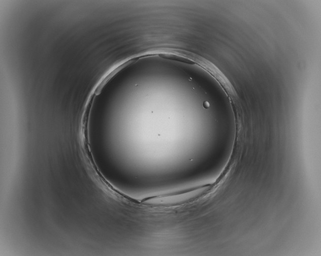 X0000113080908200908281220