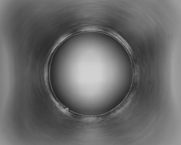 X0000113080909200908281220