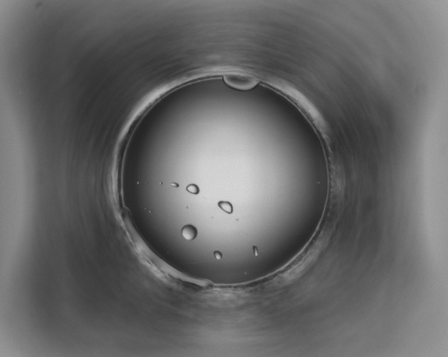 X0000113080910200908281220